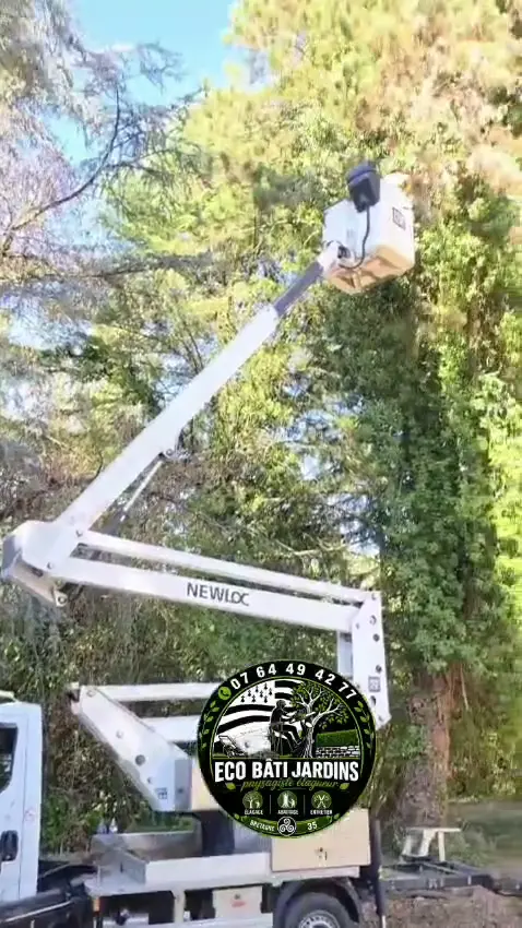 Intervention sur les arbres — Eco Bâti Jardins