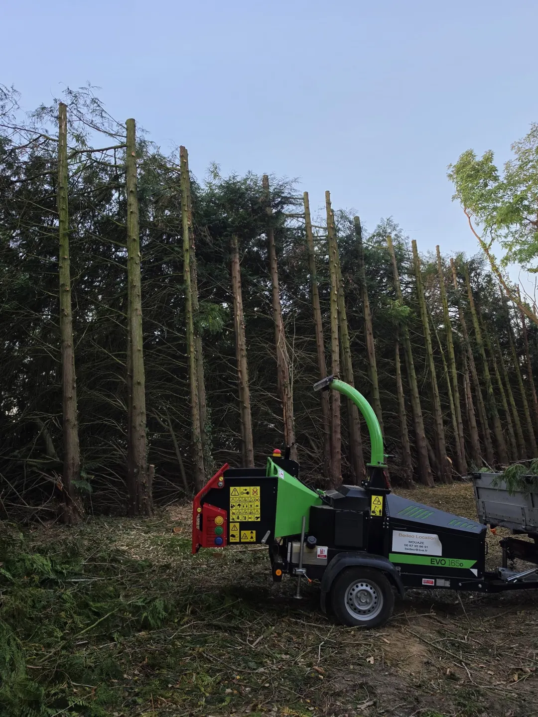 Intervention sur les arbres — Eco Bâti Jardins