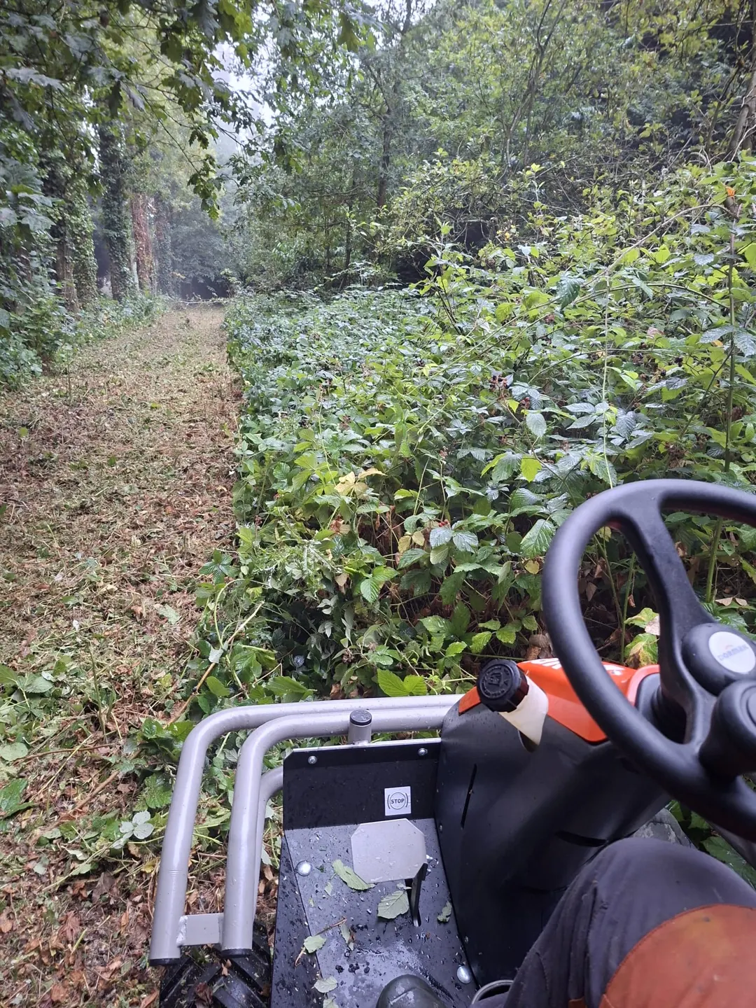 Entretien et débroussaillage — Eco Bâti Jardins