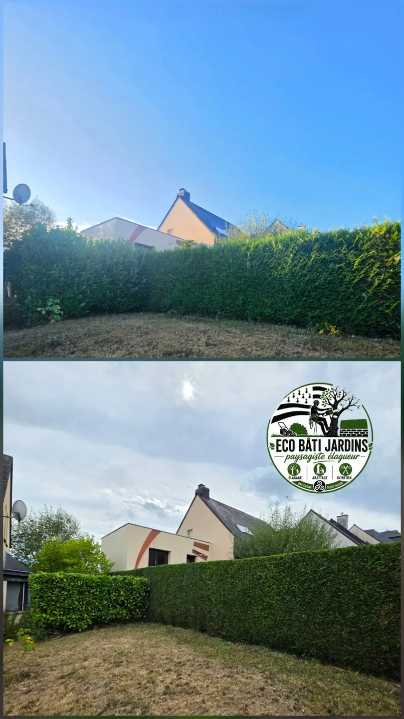 Taille et entretien de haies — réalisation Eco Bâti Jardins