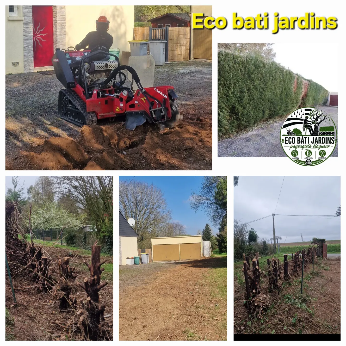 Travaux d’abattage et de dessouchage — réalisation Eco Bâti Jardins